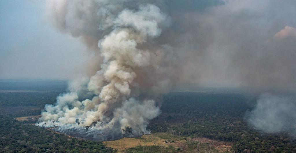 Regnskog brinner på många ställen i Sydamerika.