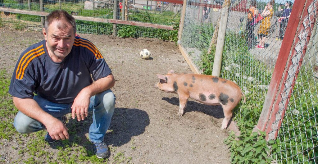 Jari Kuusinen arbetar på Tomtbacka gård. Han säger att många tycker bäst om grisarna.