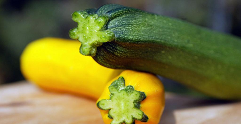 Zucchinin är en sorts pumpa. Den kallas också squash. Den kan vara gul eller grön.