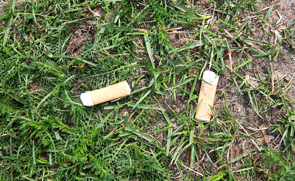 Cigarettfimpar är dåliga för miljön. 