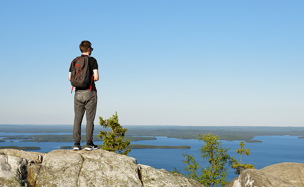 Det är vacker natur i Koli. Endel naturleder i Koli är tillgängliga. Mendär finns också naturleder där man måste klättra och behöver ha bra kondition.