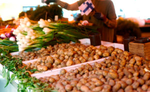 nypotatis på torget