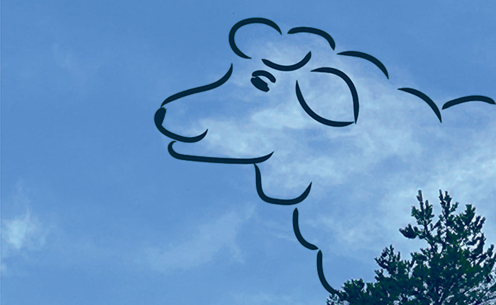 molnbild lamm