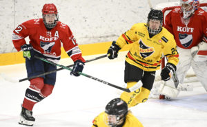 kvinnliga ishockeyspelare