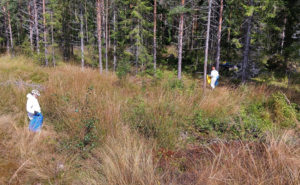 människor ute i terrängen
