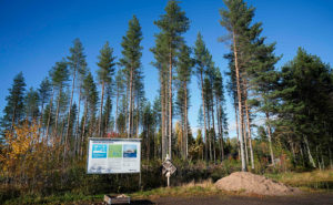 skog med en skylt framför Vaala
